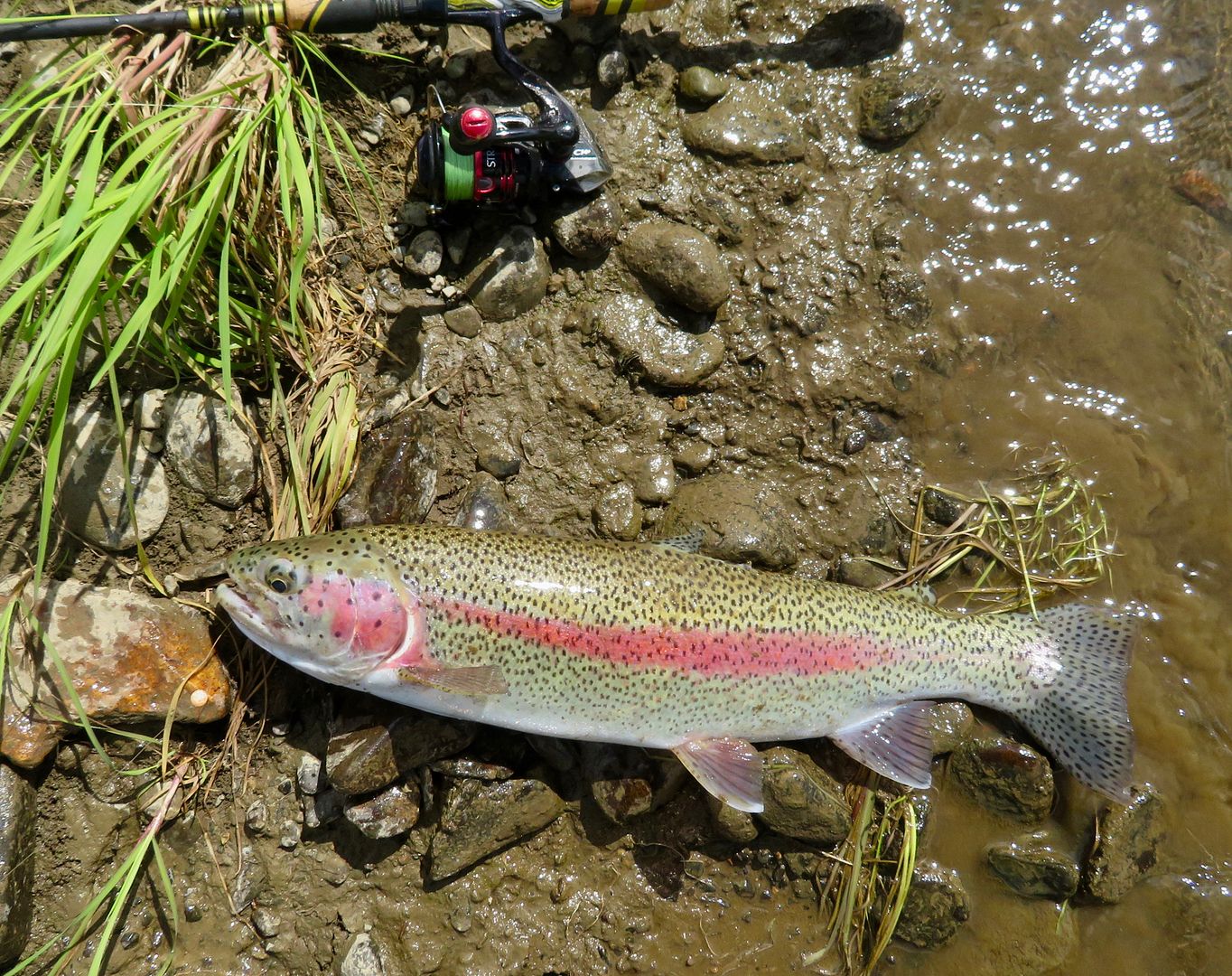 Aniak River, Alaska....part II Utah Wildlife Network